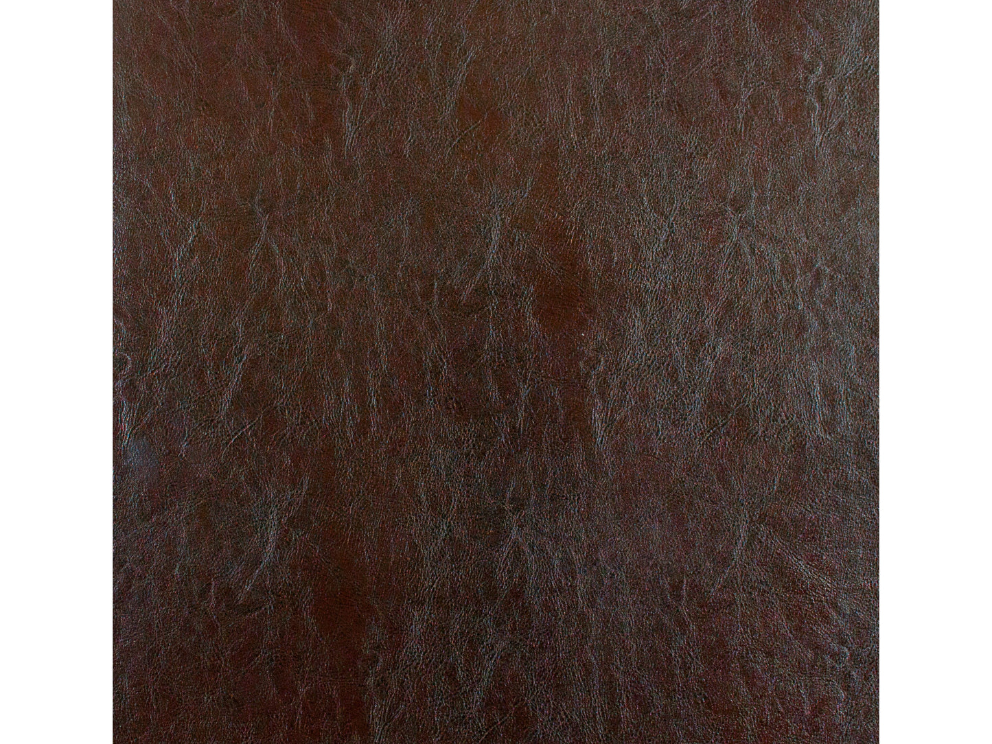 dark brown Leather Barrel Chair Sasha Collection detail image by CorLiving#color_sasha-dark-brown